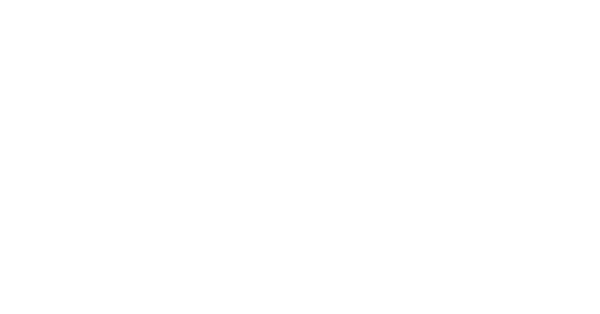 Locked N' Loaded Logo