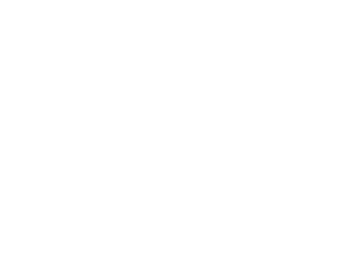 RE-liON